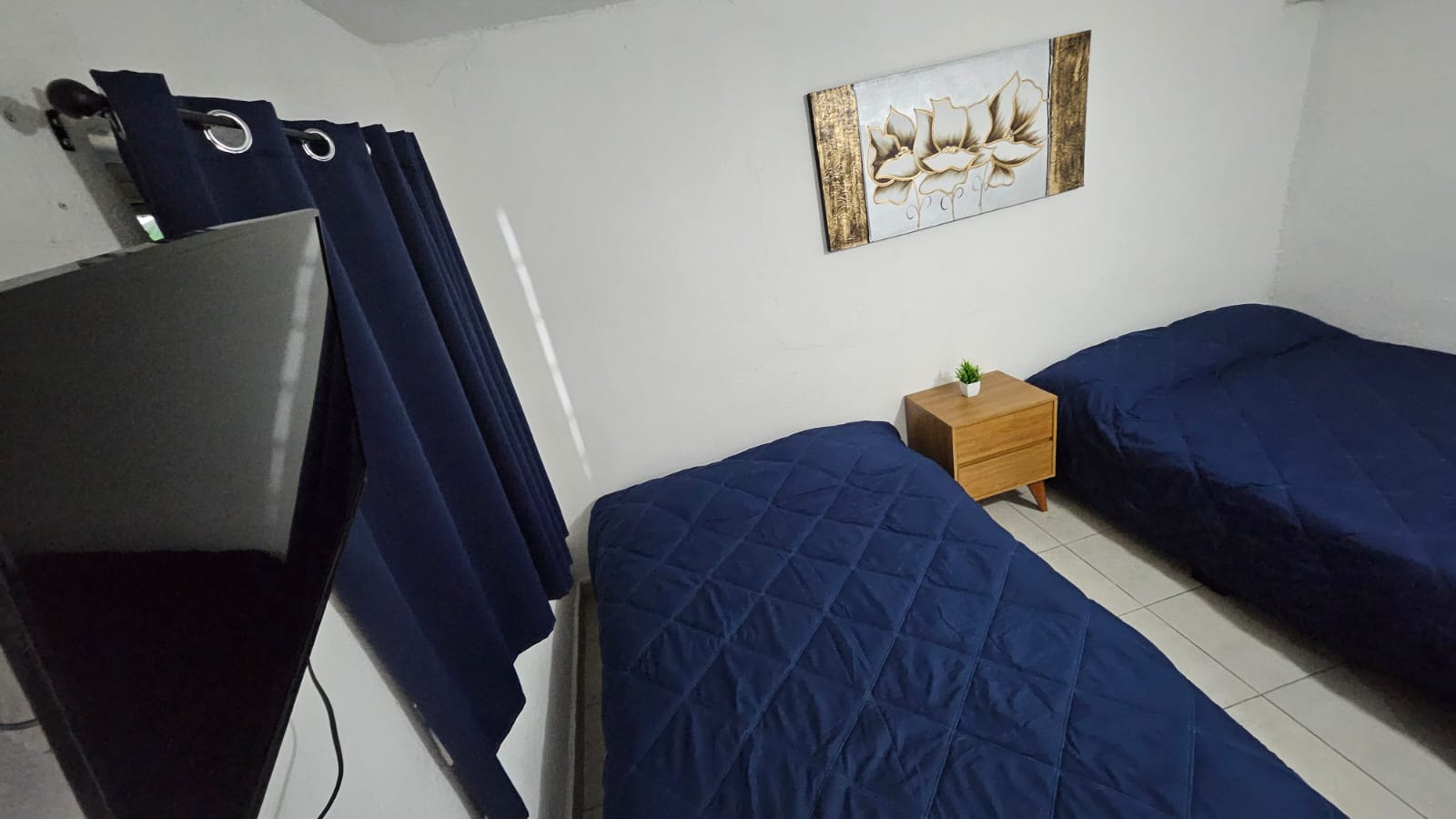 El Loft donde se ve la tele, la cortina, las camas, el buró y  el cuadro