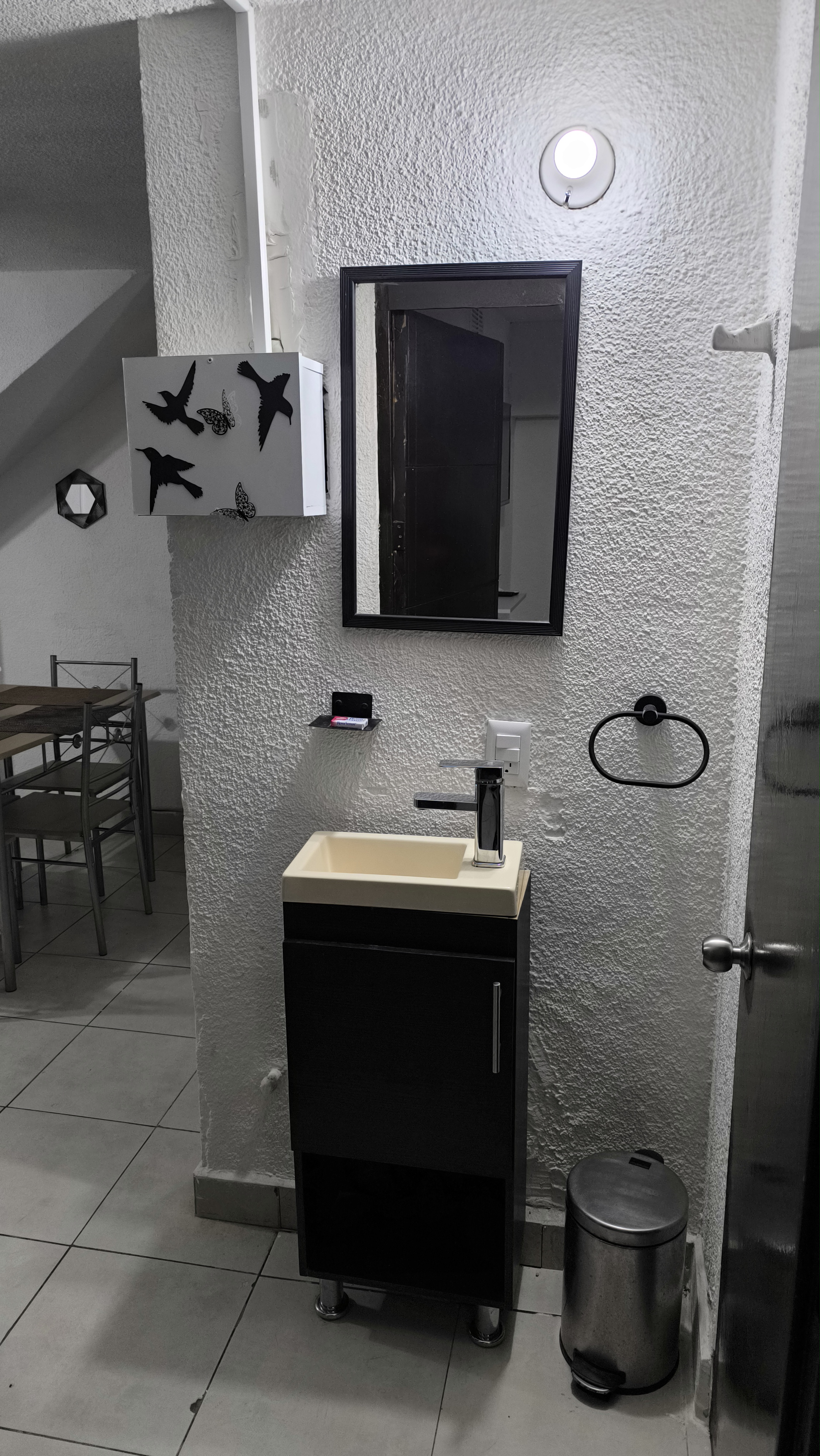 El Loft donde se ve el lavabo, el espejo, el baño 1 y el comedor
